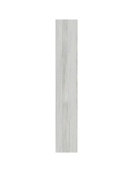 Betula Natural 20 X 120